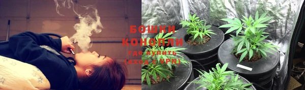 соль курить ск Богданович