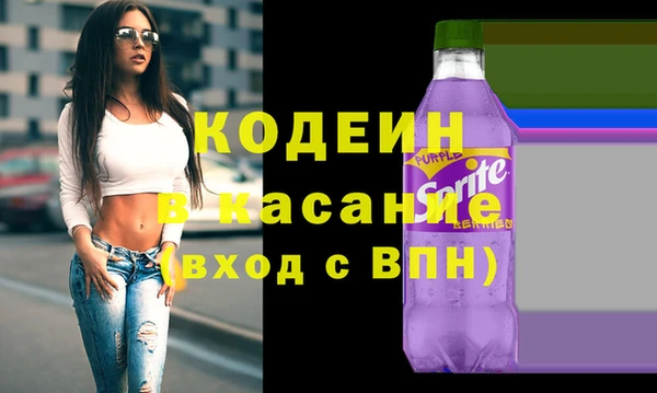 шишки Бородино
