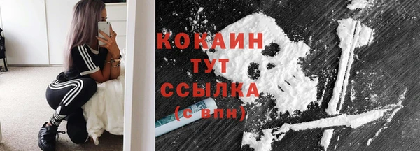 кокс Богородицк