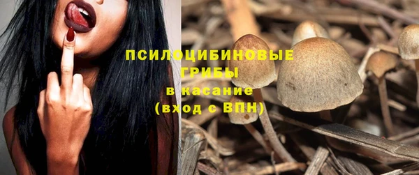 соль курить ск Богданович