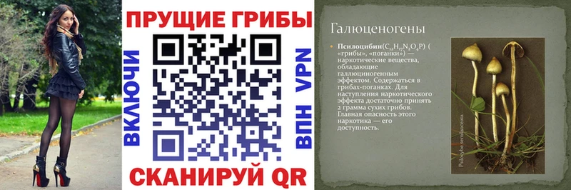 Галлюциногенные грибы MAGIC MUSHROOMS Краснозаводск